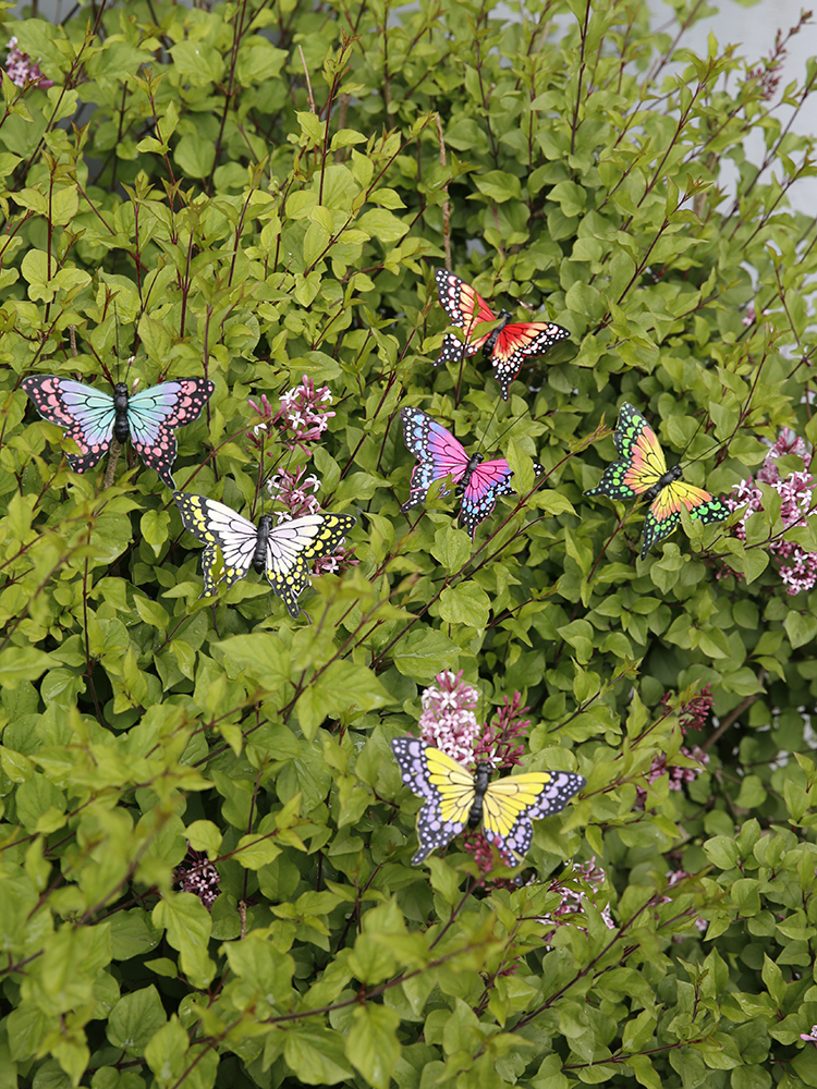 Schmetterlingsdekorationswand