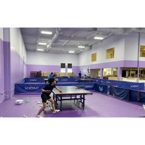 ITTF goedgekeurde indoor PVC tafeltennis sportvloeren