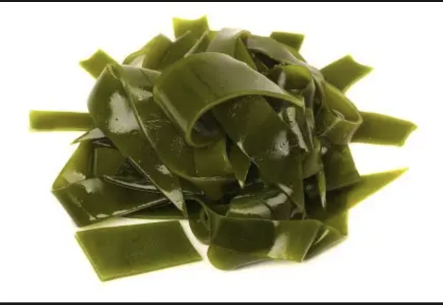 Fabricante de extracto de algas Kelp Extract Manufacturer