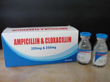 Ampicillin and Cloxacillin for Injection