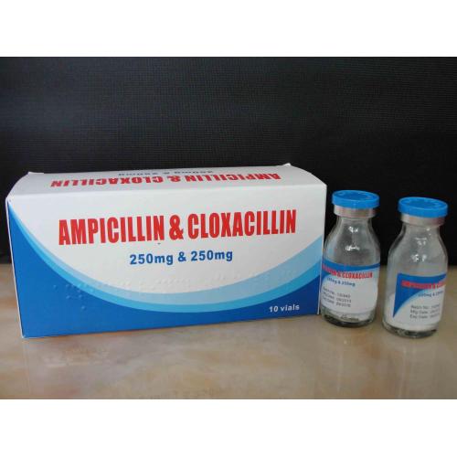 Ampicillin and Cloxacillin for Injection