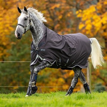 12 Wug Lite Horse Sheet