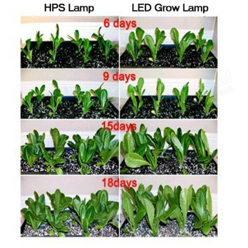 LED Plant Grow Đèn treo hình vuông