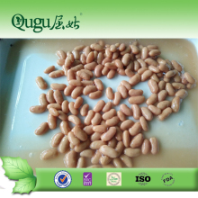 cheap price for canned light speckle kidney beans