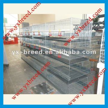 Automatic chicken breeding cage