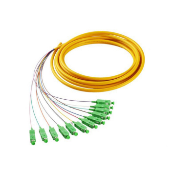 SC APC 12 Cores Fiber Optic Bundle ?Pigtail