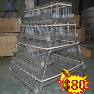 Battery Egg Laying ChickenCage For  Poultry Farm