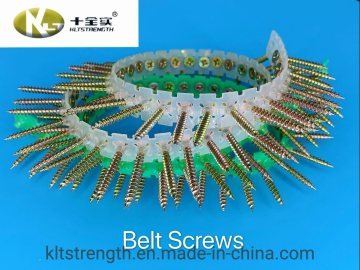 Collated Drywall Screws Belt Screws