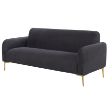 Modern Sofa Living Room Design: Trendy Furniture and Stationary Sofas