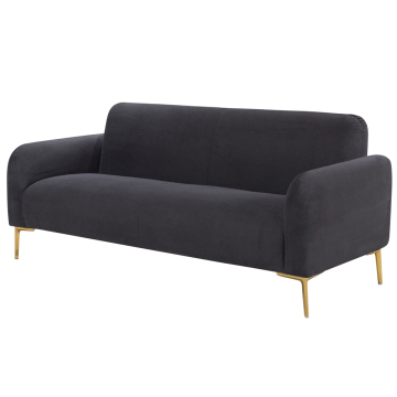 Modern Sofa Living Room Design: Trendy Furniture and Stationary Sofas