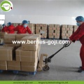 Factory Supply Dried Healthy Fruits Goji Berry