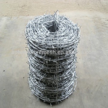 electroc/hot dipped galvanized 12*12 types barbed wire