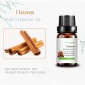 Water-Soluble Cinnamon Essential Oil For Diffuser Massage