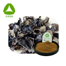 Schwarzer Trüffel -Pilz -Extrakt schwarzer Pilzextraktpulver