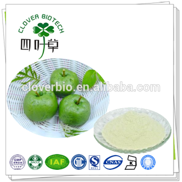50% 80% natural apple polyphenols green apple powder
