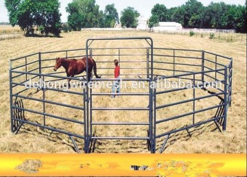 5ftx10ft Galvanized Livestock Panel and Gate(Factory)