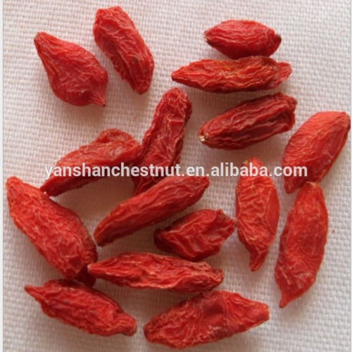 Chinese Ningxia Dried Goji Berry Wolfberry