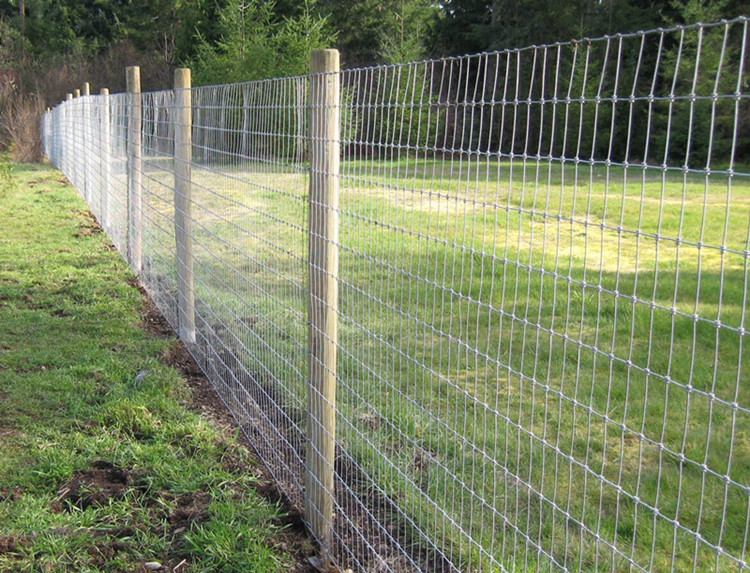 3.0mm High Quality Hot Dipped Galvanized Field Fence