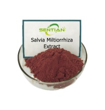 Salvia miltiorrhiza Extract powder