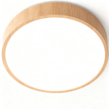 Stylish LED Ceiling Light for Interiors