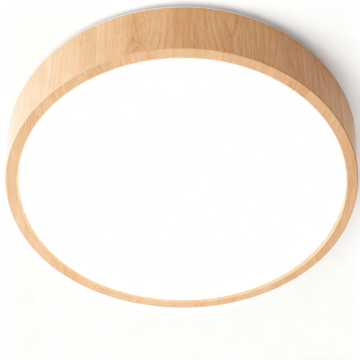 Stylish LED Ceiling Light for Interiors