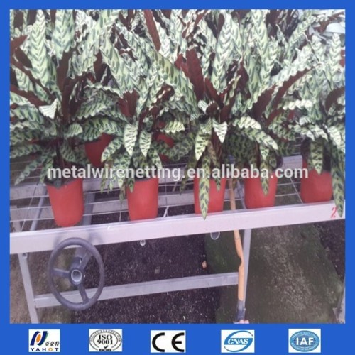 Welded Wire Mesh Graden Seeding Bed Nets