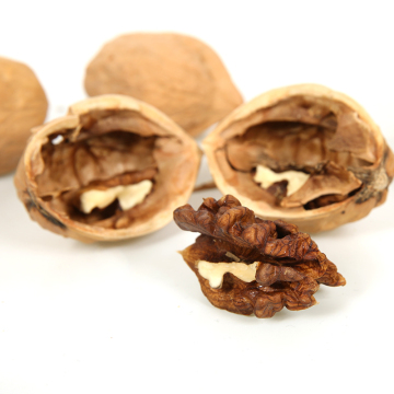 Superior Grade Walnuts with Shell