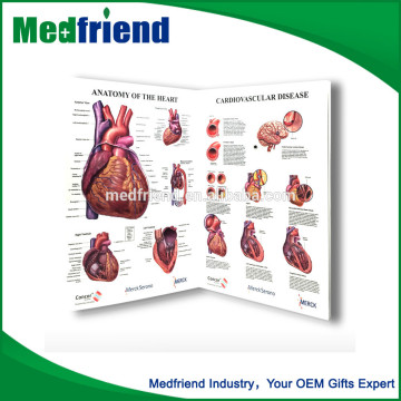Heart Anatomy and Disease Book