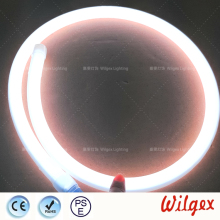 Flex Lighting LED ribbon rope lighting