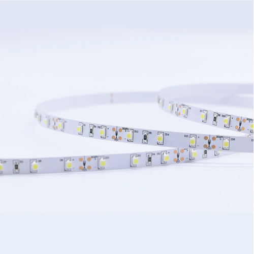 3528SMD Strip led mono colore bianco 60led 12V