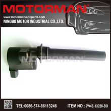 Ford  Auto 12V Ignition Coil 2W4Z-13029-BO