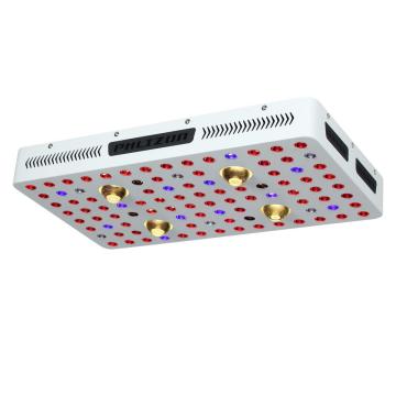 COB -serie 2000W LED Plant Grow Light