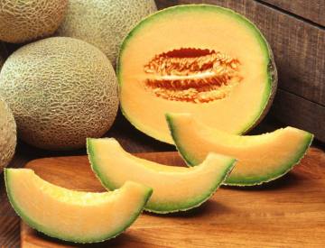 Fresh Premium Melon XinJiang