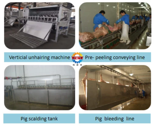 Pig Slaughter Line Pig Meat Processing Line Pig Abattoir Equipment