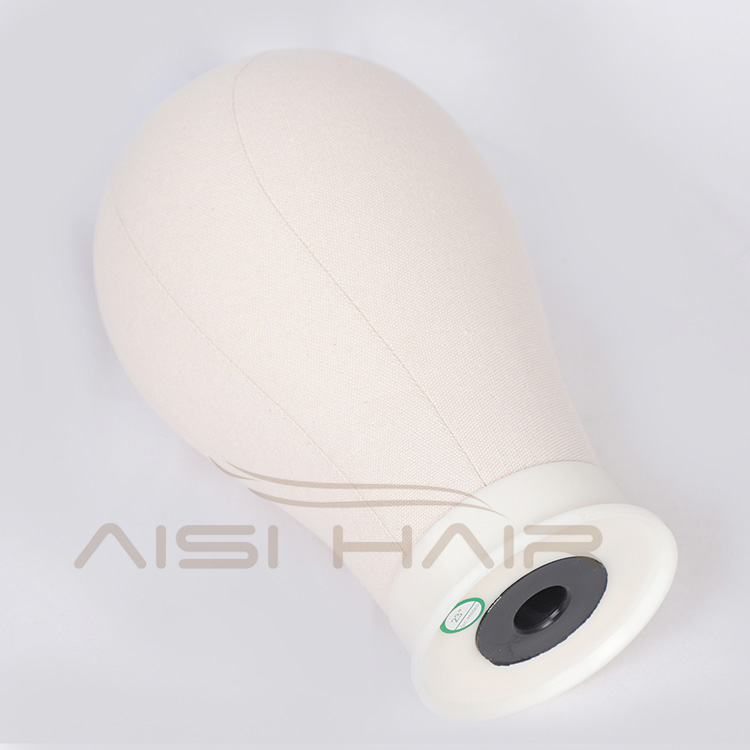 Aisi Hair Professional Poly Canvas Block Mannequin Head for Wig Making Displaying Drying Free Gifts
