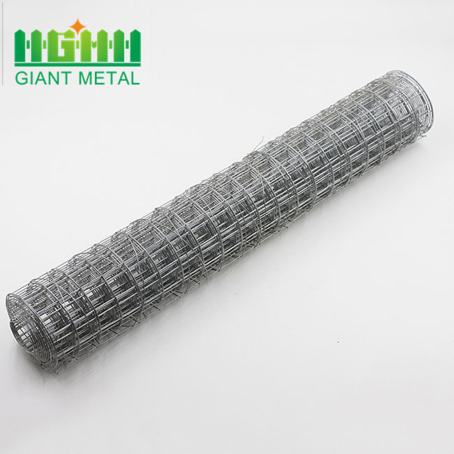 factory galvanised 3/4inch welded wire mesh