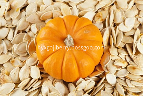 pumpkin seed 3
