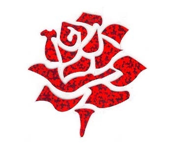 Hot-fix Transfer Raw material Film