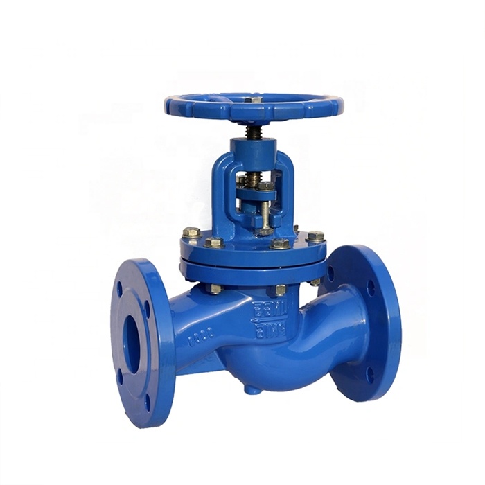 DIN3356 Cast Iron Straight Bellows Globe Valve with Handwheel Operator