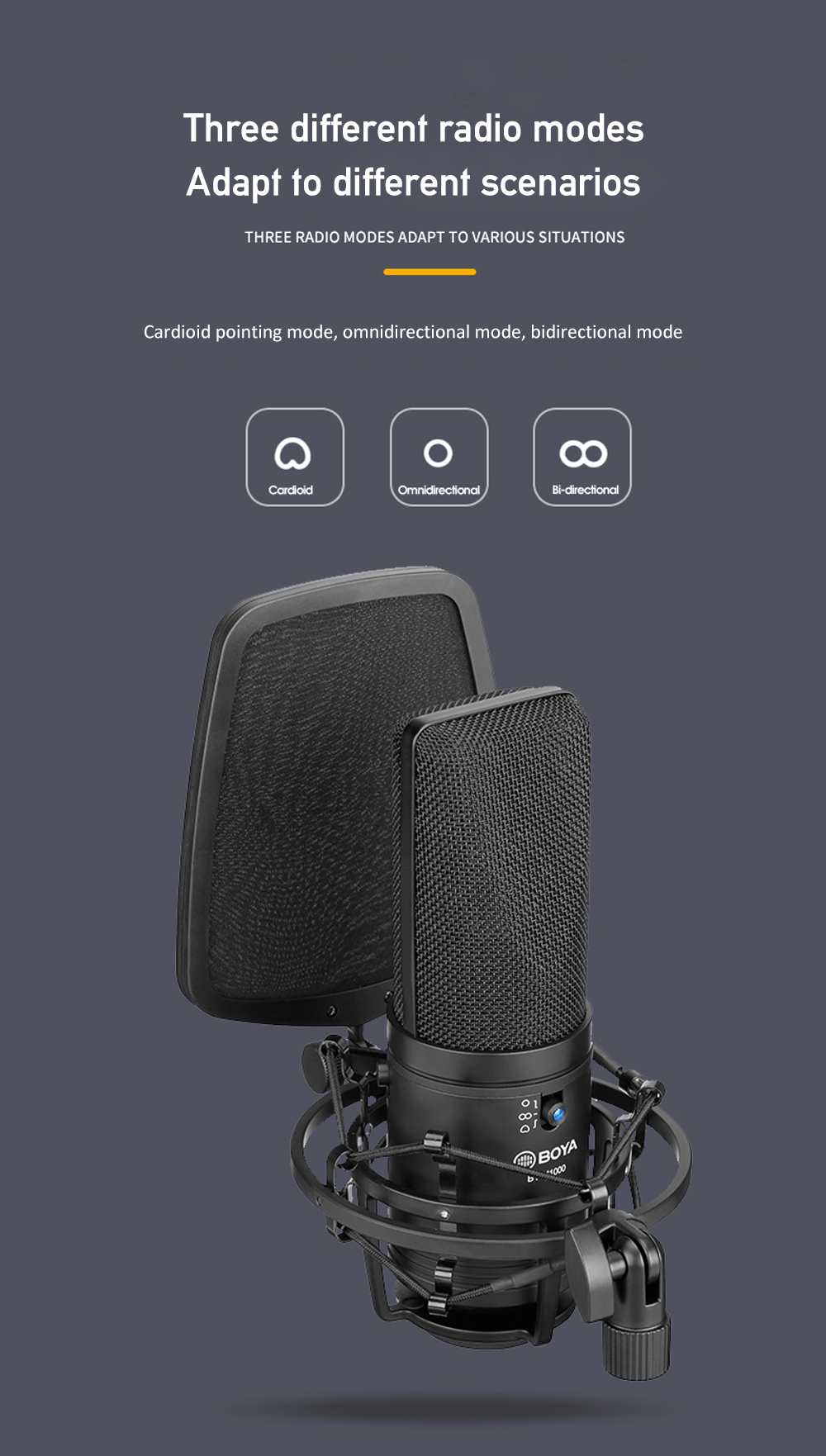 BOYA BY-M1000 Large Diaphragm Condenser Capsule Microphone for Singer Podcasting Artist Studio Mic