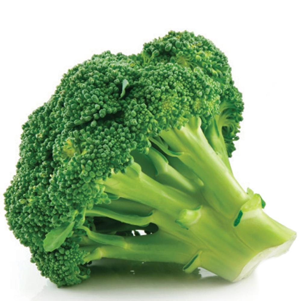 Broccoli Extract