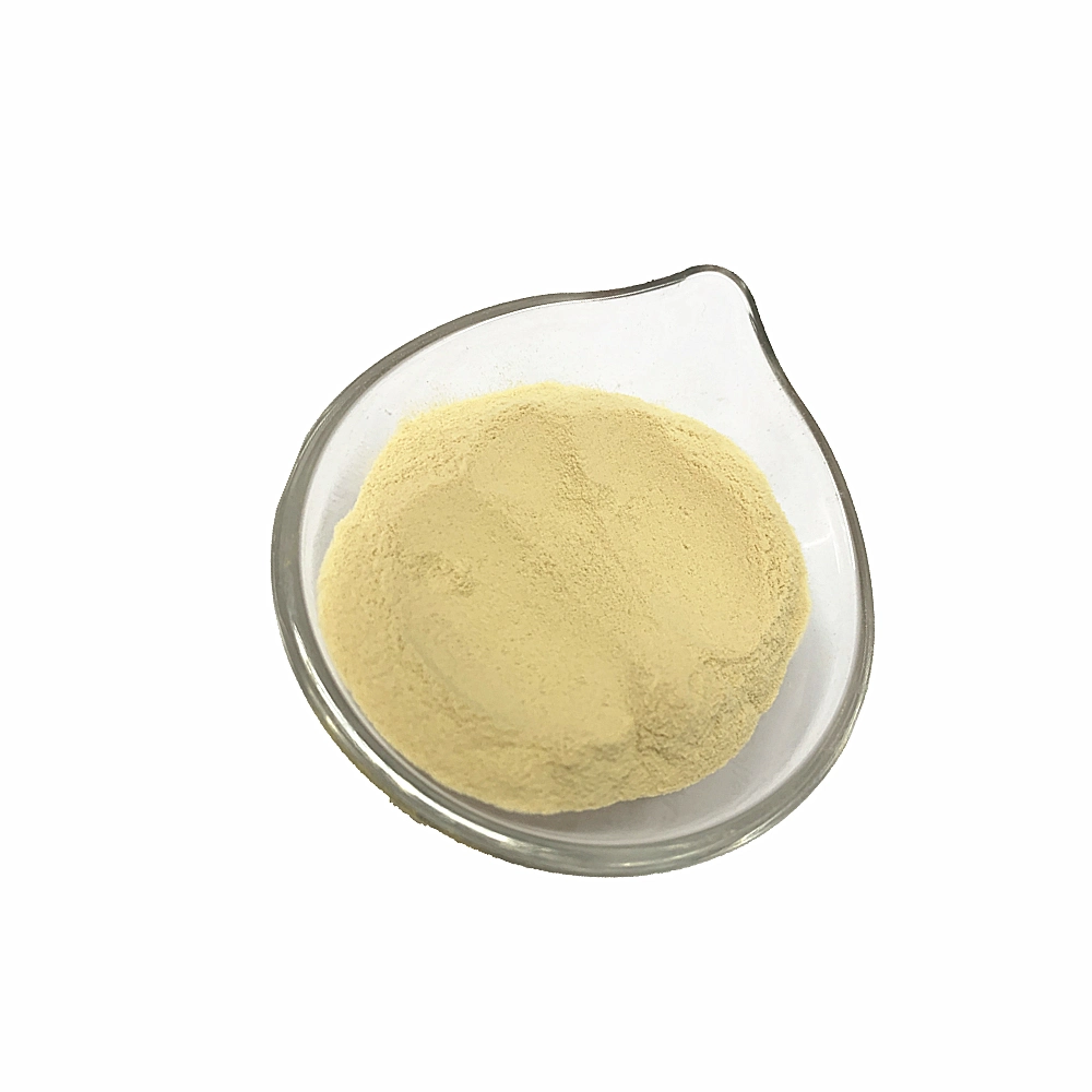 Pure Spray Dried Vegetable Powder Ginger Powder