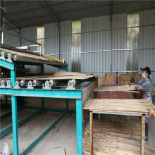 New Type Biomass Veneer Dryer