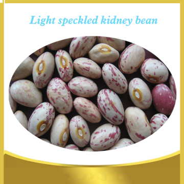 Light Speckled kidney beans(round shape)