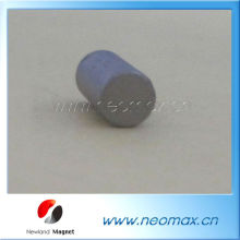 Cylinder Magnet