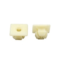Nylon Expansion Clips for Automobile Plastic Fasteners - Auto Parts