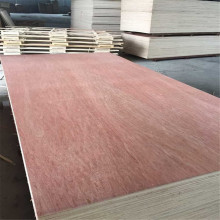 thin plywood package bintangor plywood