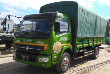 Dongfeng light cargo truck with GCC certificate