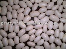 new crop Japanese type white kidney beans