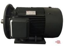 10 Pole IMB35 / IM2001 Three Phase Asynchronous Motor Indus